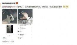 吃瓜翻车小说后续免费阅读,幕后真相大揭秘